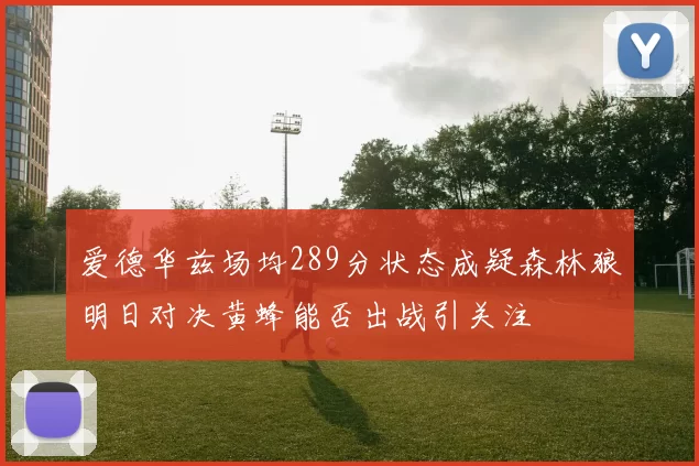 爱德华兹场均289分状态成疑森林狼明日对决黄蜂能否出战引关注